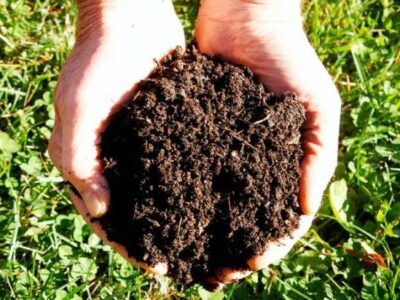 Feed the Soil First Image